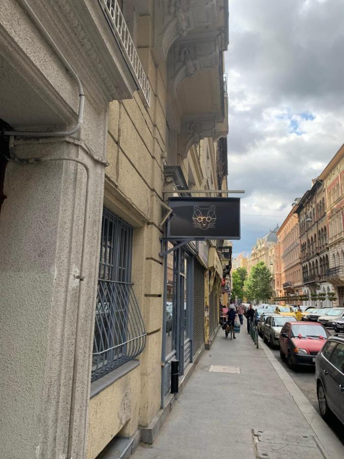 Cool Cat Budapest Apartment エクステリア 写真